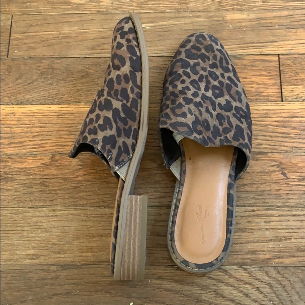 Work mules! - Picture 2 of 2